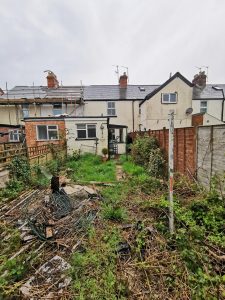 An overgrown garden